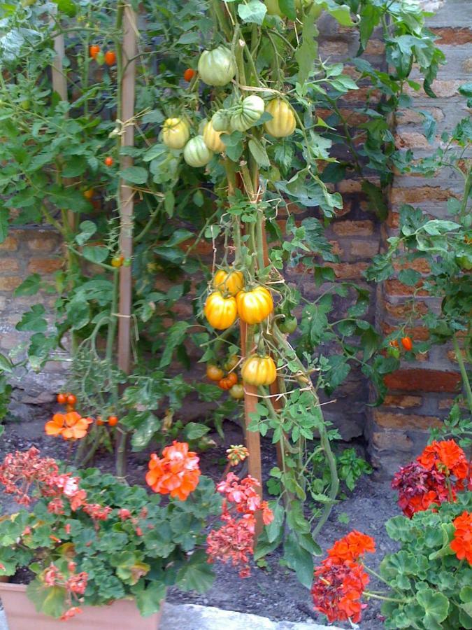 Appartamento Ca' Ermina & Garden