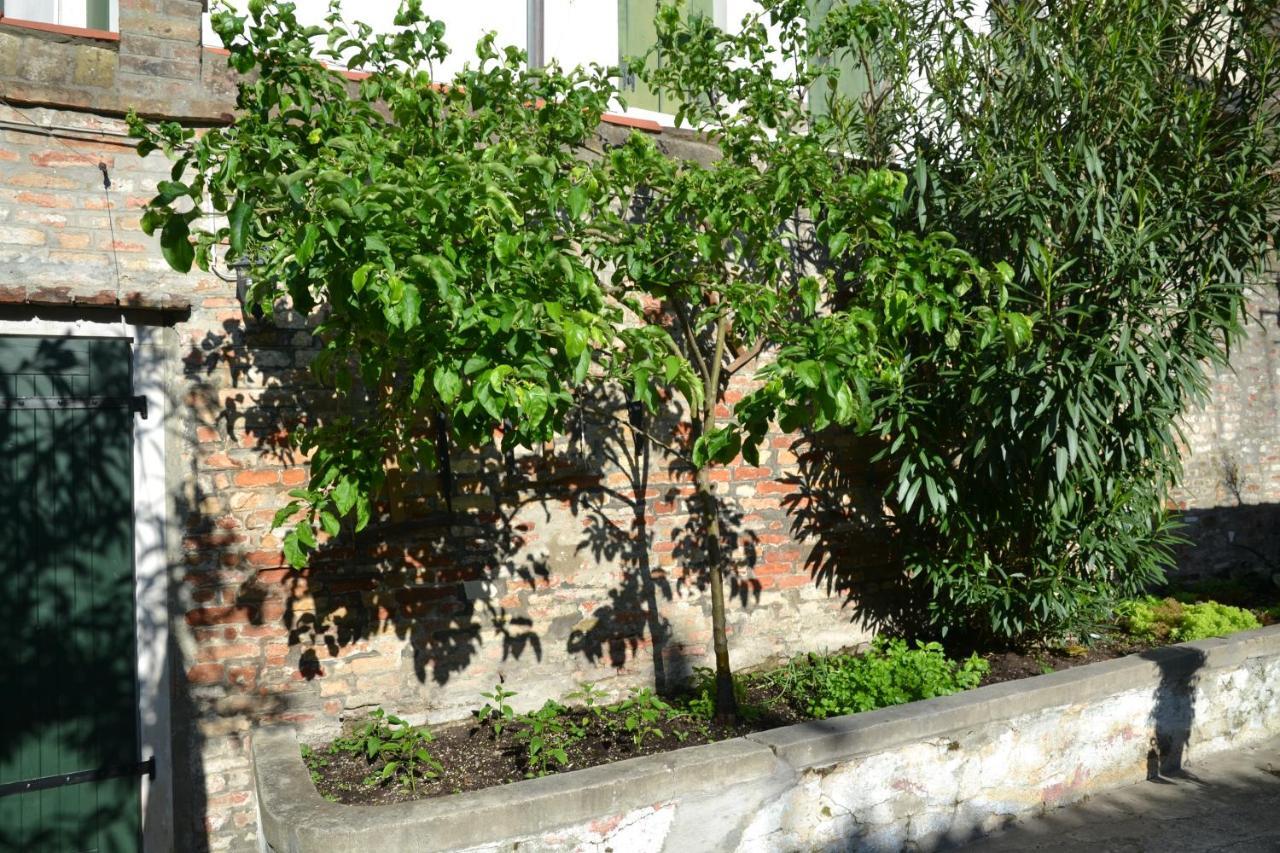 Ca' Ermina & Garden Lejlighed Venedig